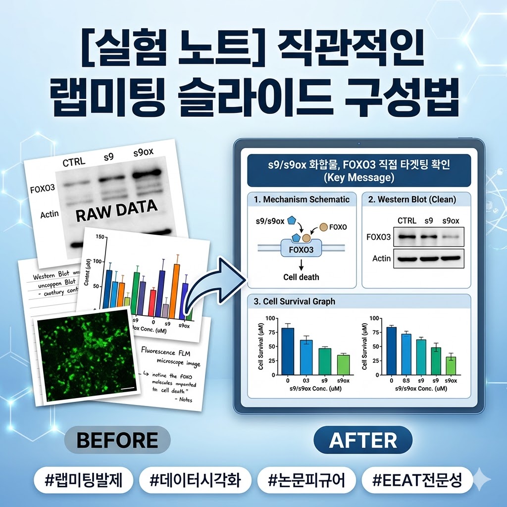 페로토시스 데이터
